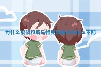 为什么鼠鼠和属马相克 🚥 _鼠和马为什么 🏢 不配 为什么鼠鼠和属马相克 🚥 _鼠和马为什么 🏢 不配