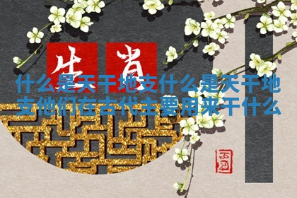 什么是天干地支 🔓 _什么 😦 是天干地支他们在古代主要用来干什么