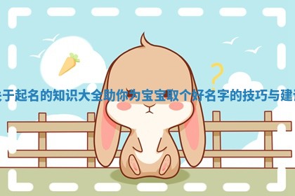 关于起 🎖 名的知识大全助你为宝宝取个好名 🦔 字的技巧与建议
