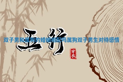 双子男和 🚈 属狗的婚姻相配吗 🎈 属狗双子男生对待感情