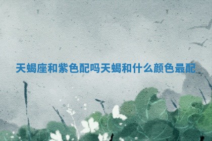 天蝎 🥑 座和紫色配吗 天 🍷 蝎和什么颜色最配