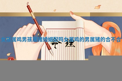 女孩属鸡男孩属猪婚姻配吗_女属鸡的男 🥄 属猪的合不合 🐬