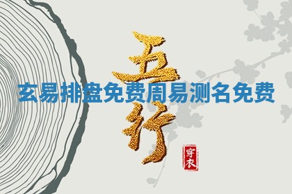 玄易排盘免 🎇 费 周 🐸 易测名免费