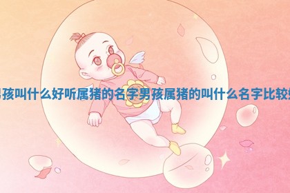 男孩叫什么好听属猪 🕞 的名字 👔 男孩属猪的叫什么名字比较好